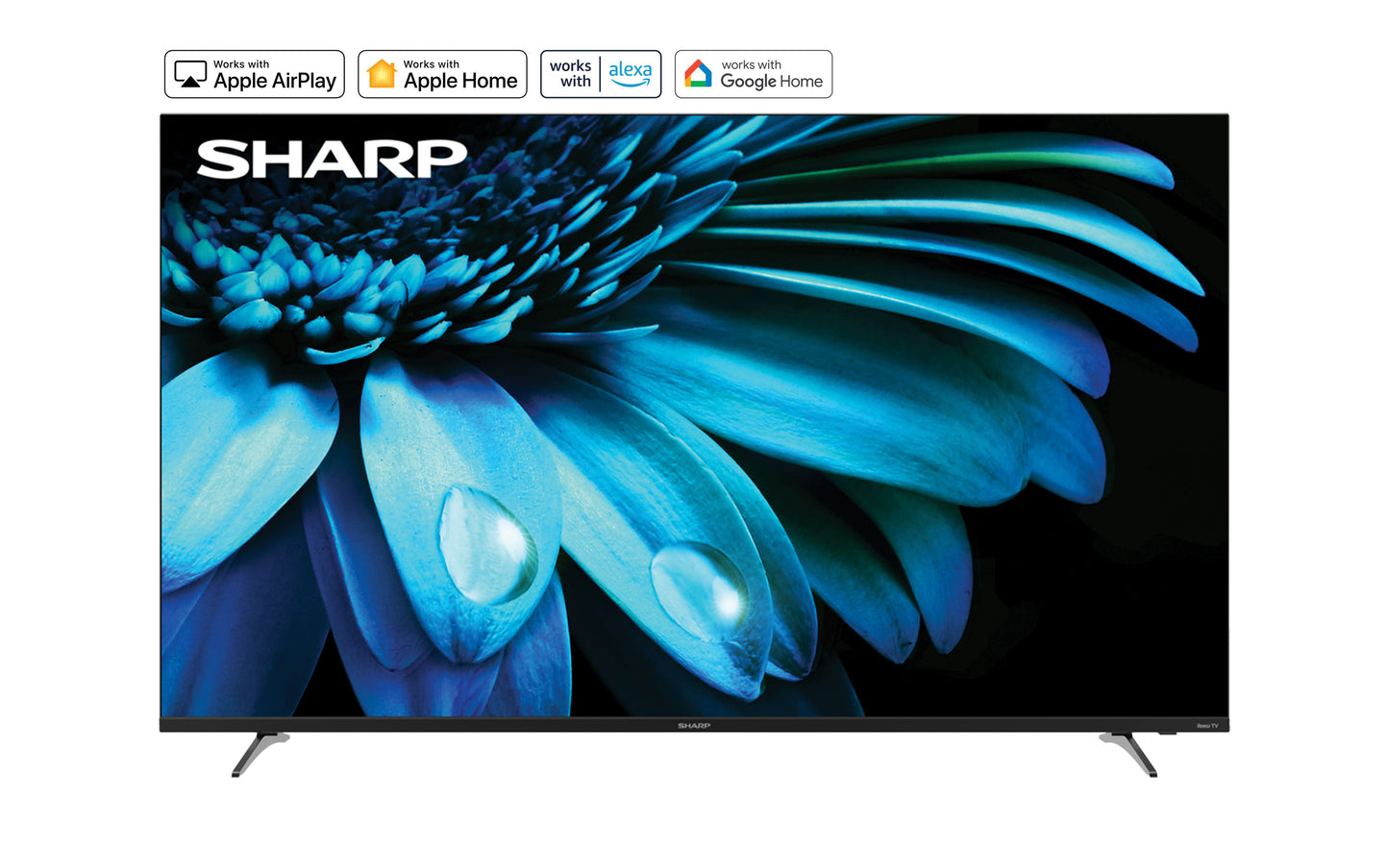 SHARP 55" 4K Mainstream Television Black