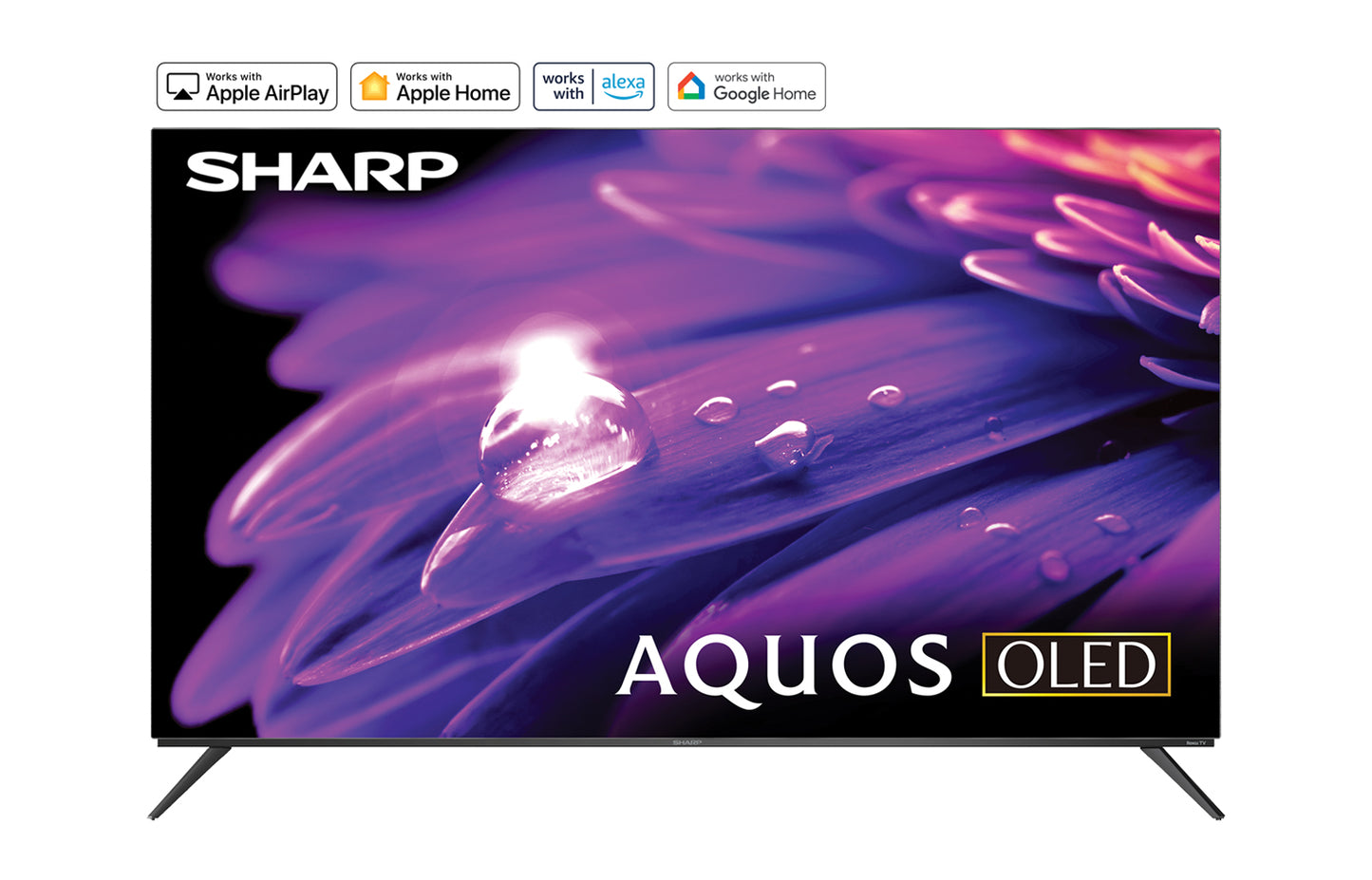 SHARP 55" 4K OLED Television Black