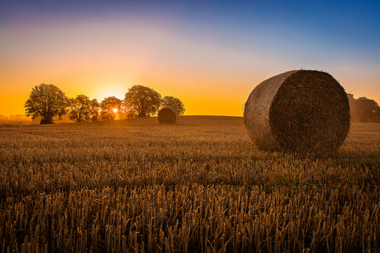 Hay Bale Tempered Glass Wall Art – 40"x60"
