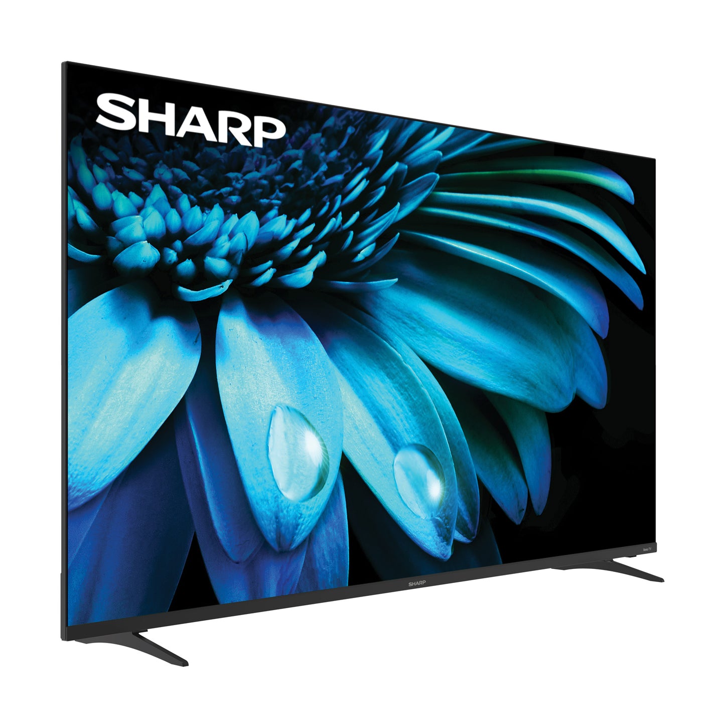 SHARP 55" 4K Mainstream Television Black