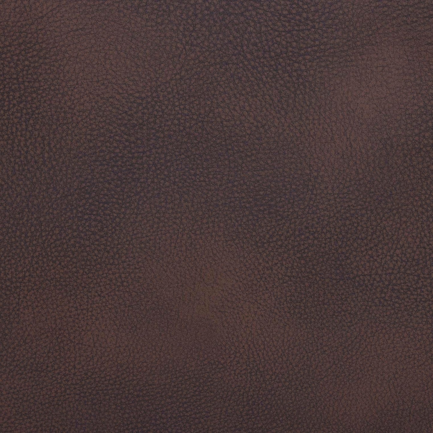 Molly Power Reclining Loveseat - Brown Beige