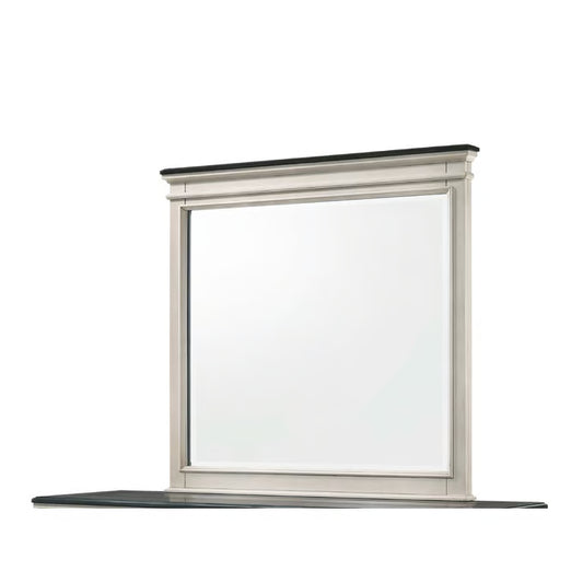 Sawyer Mirror